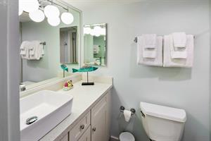 Vessel sink in guest ensuite.