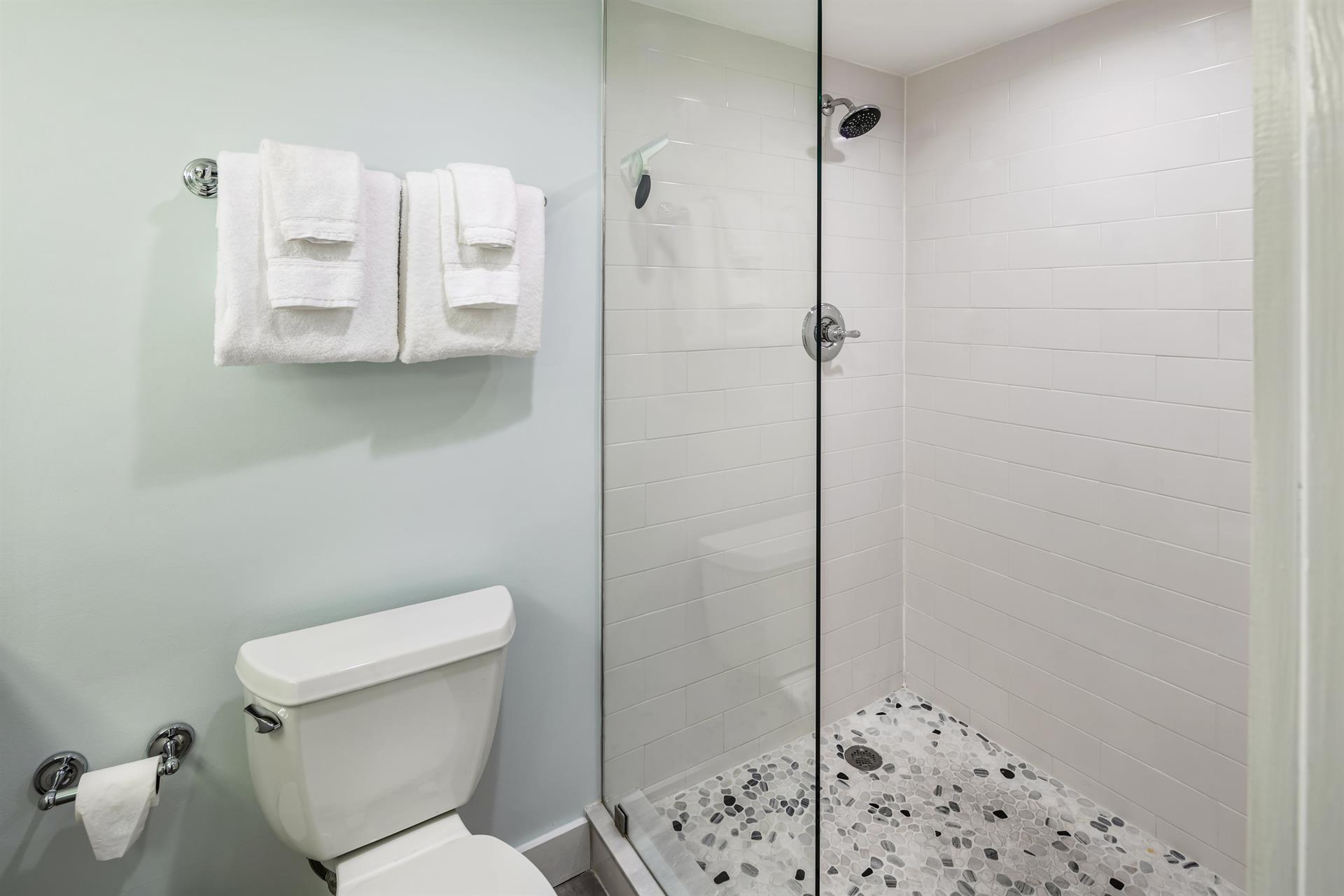 Glass walkin shower in guest bath