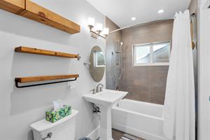 Primary ensuite with tubshower combo