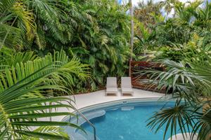 Loungers at the pool to catch some rays