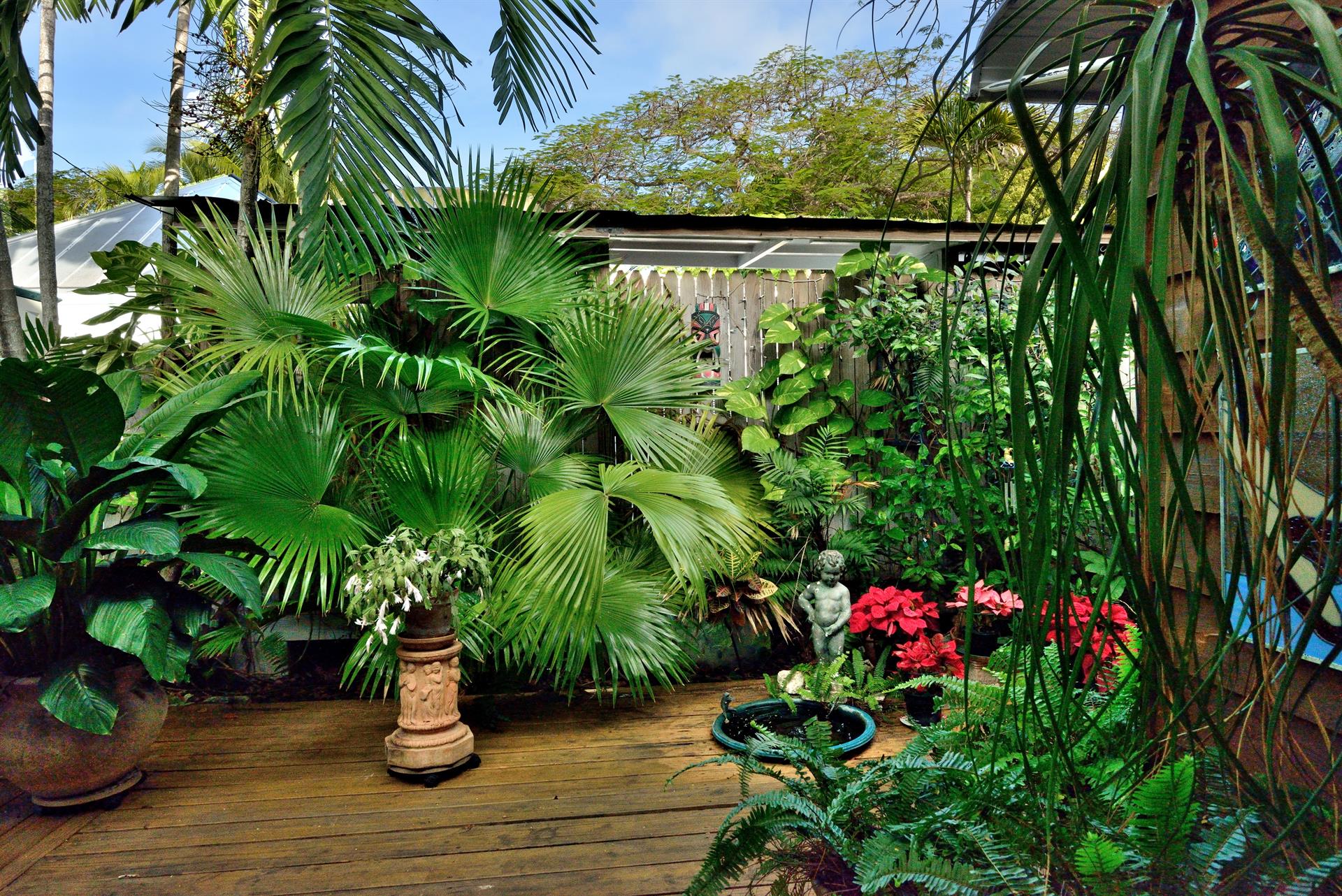 Lush green tropical plants in the shared outdoor area.