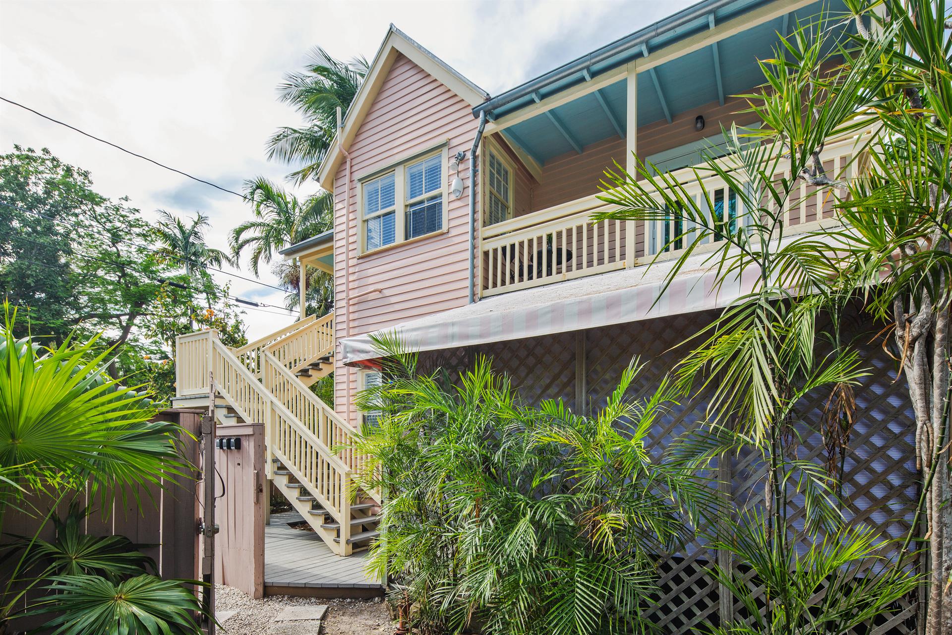 Poinciana means a tropical tree  and this is its treehouse