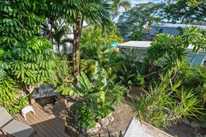 View from the back balcony of Poinciana Treetop.