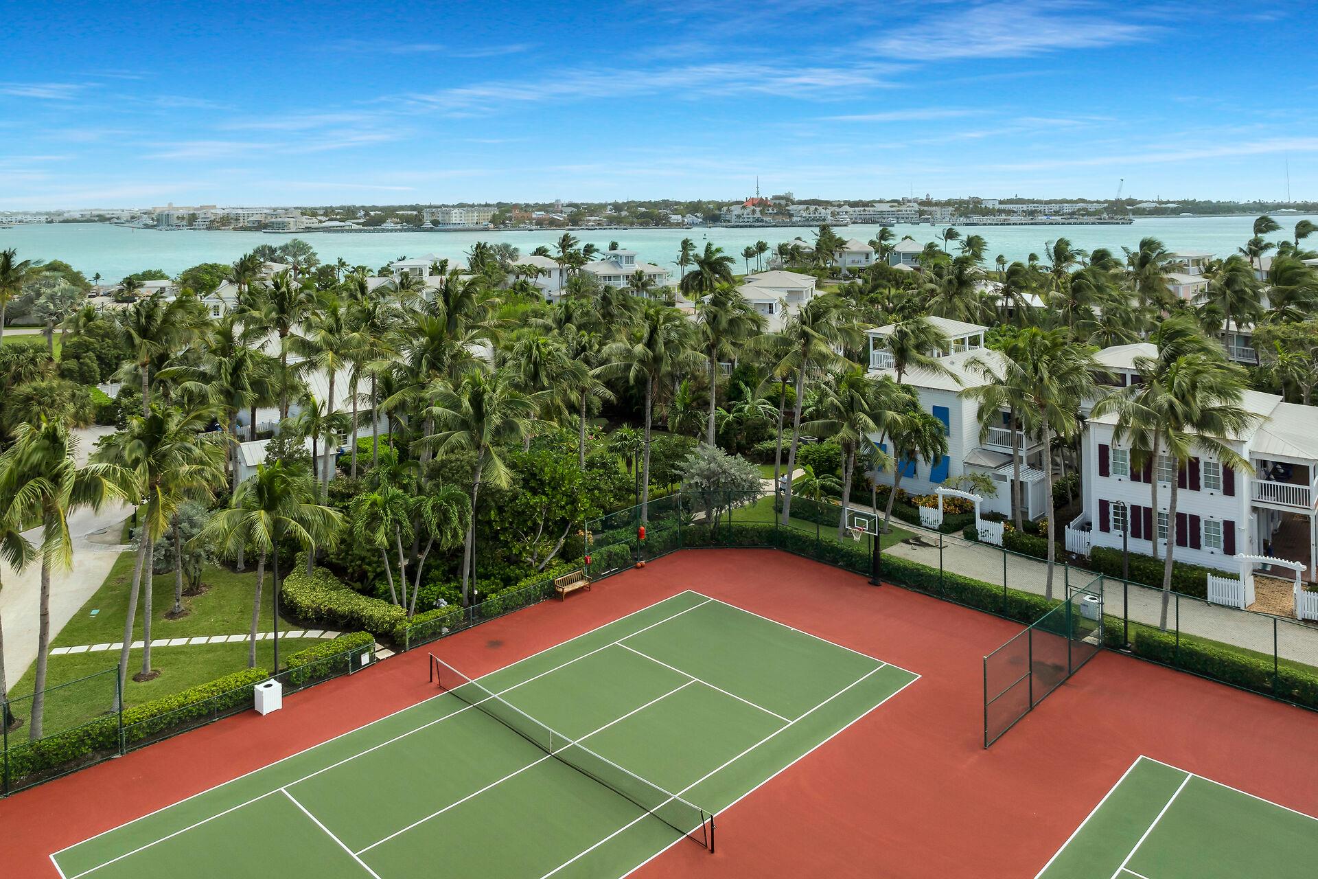 Anyone up for a tennis match