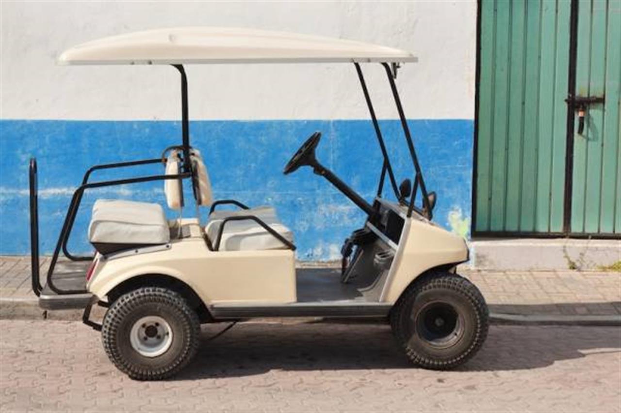 1960 Golfcartrentalsthumb B