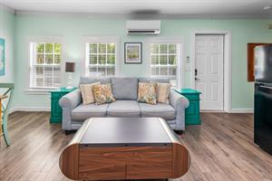 Sleeper sofa for guests