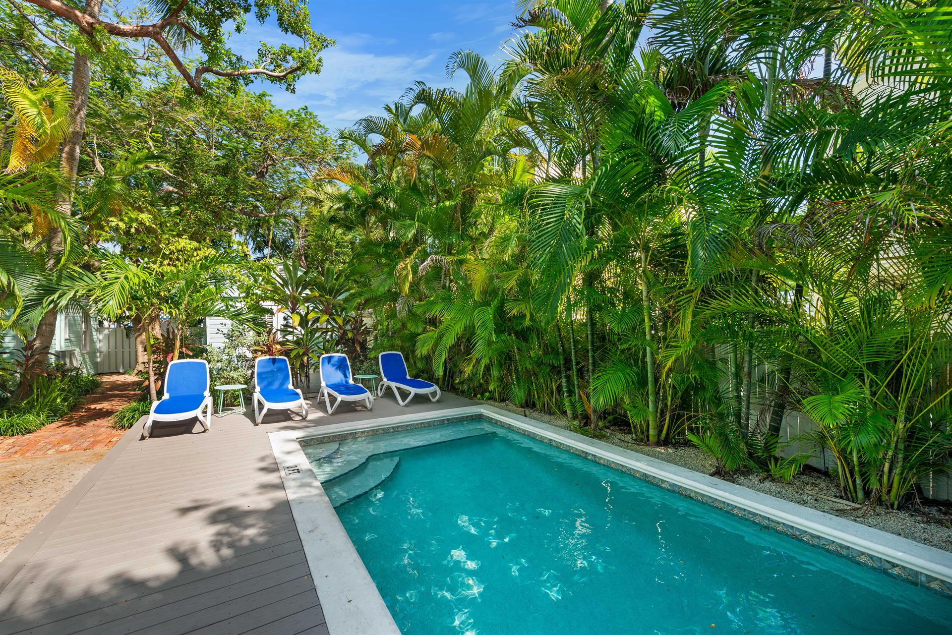 Shared pool with loungers for relaxing
