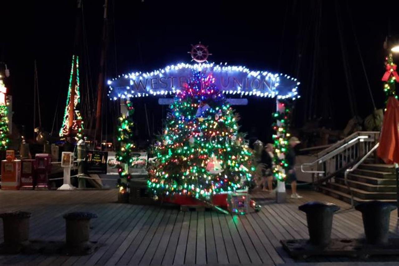 2943 Kw Christmas Tree B