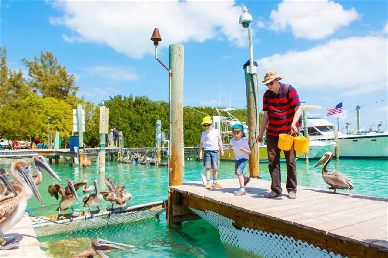 2972 Kids Key West 0 B