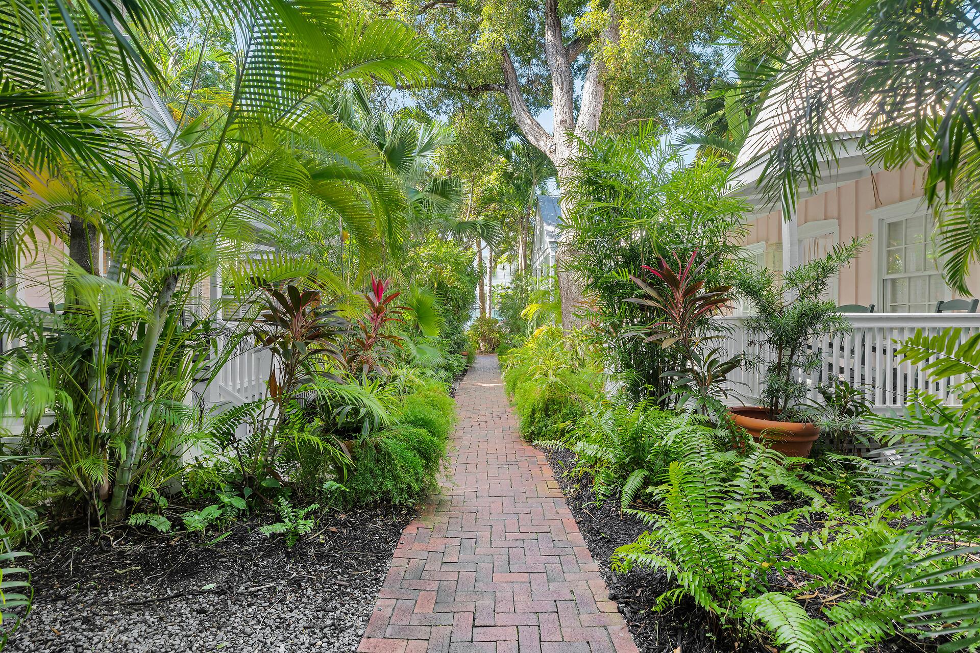Take a tropical stroll down the walkway