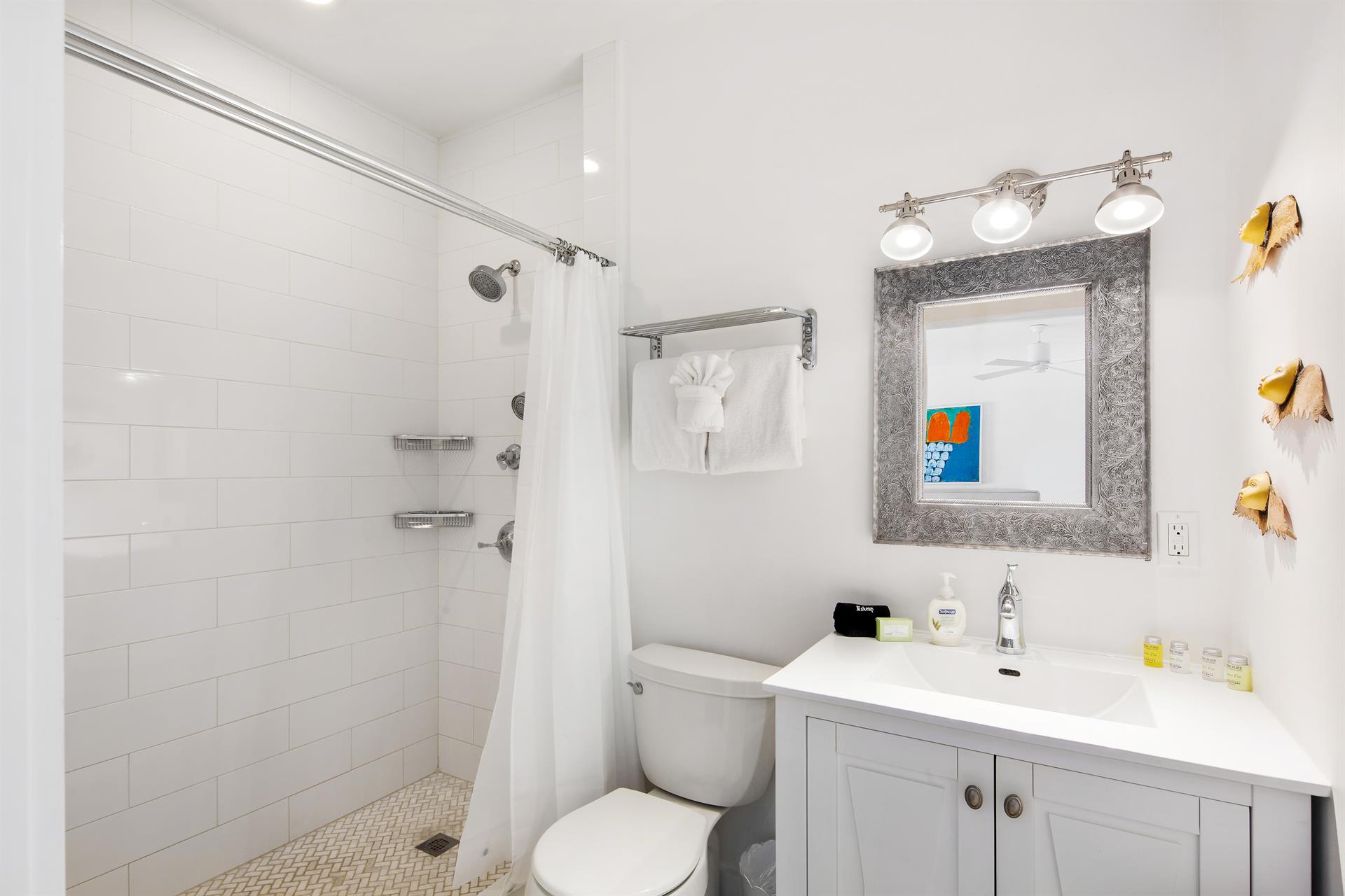 Ensuite with walkin shower.