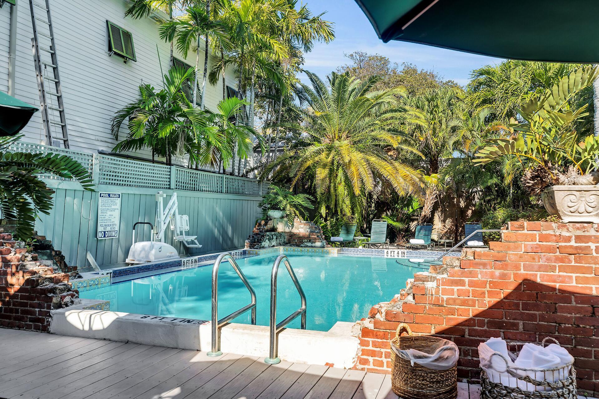 Large shared pool with loungers.