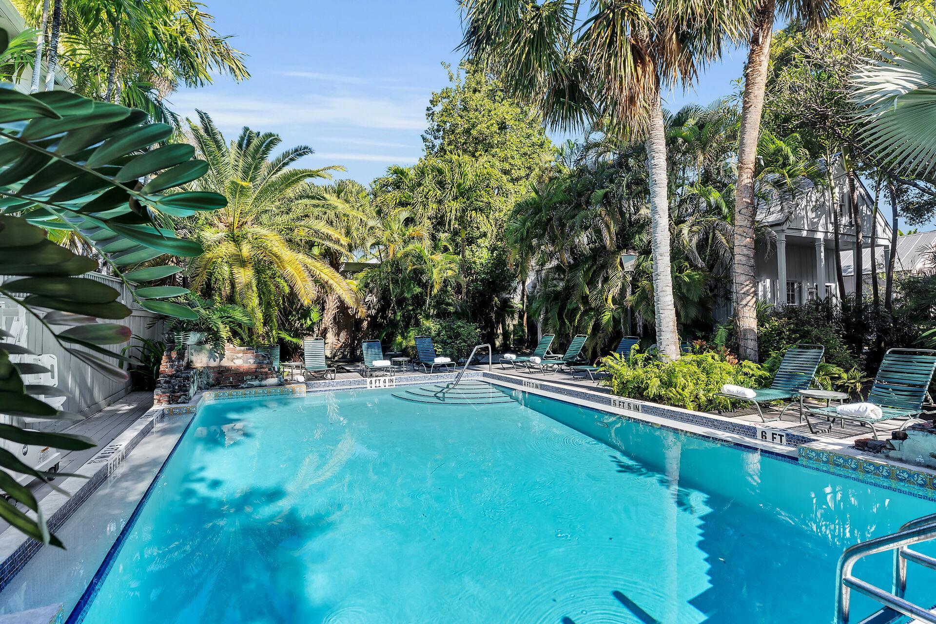 Shared pool with loungers for relaxing.