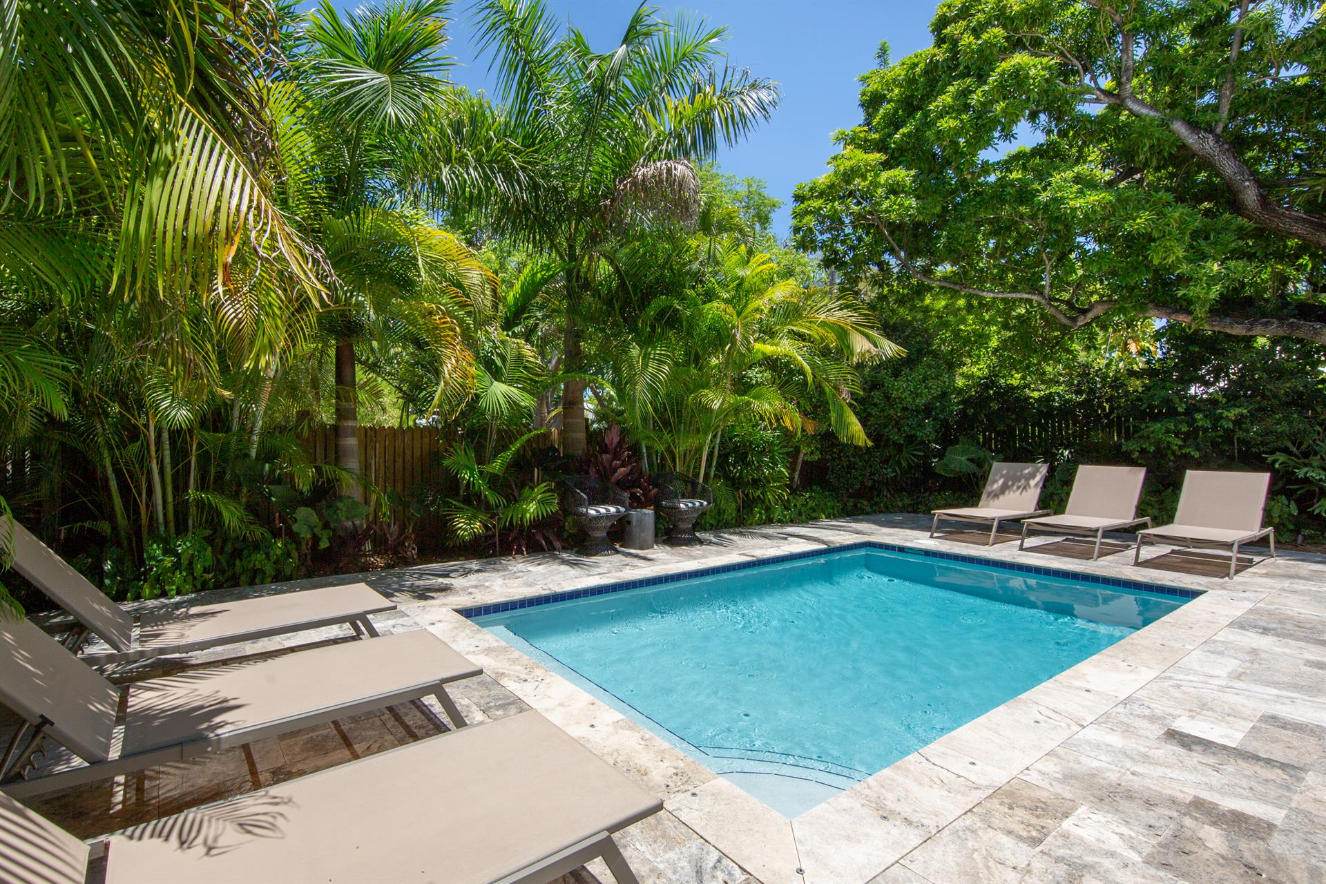 Lush foliage is perfect for your private tropical oasis.