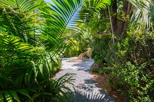 Lush mature foliage surrounds your private pool area.