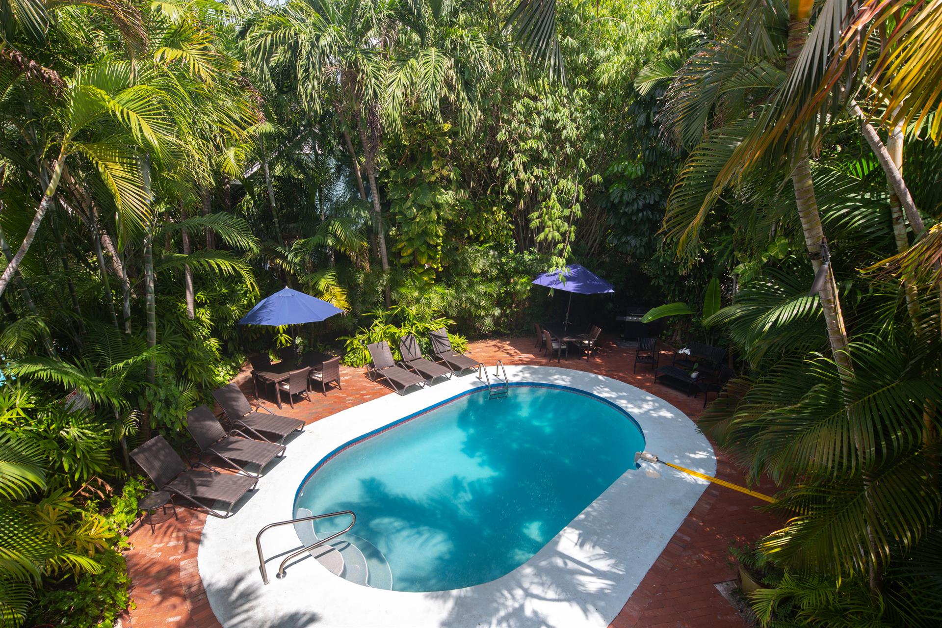 Look at this view of the shared pool