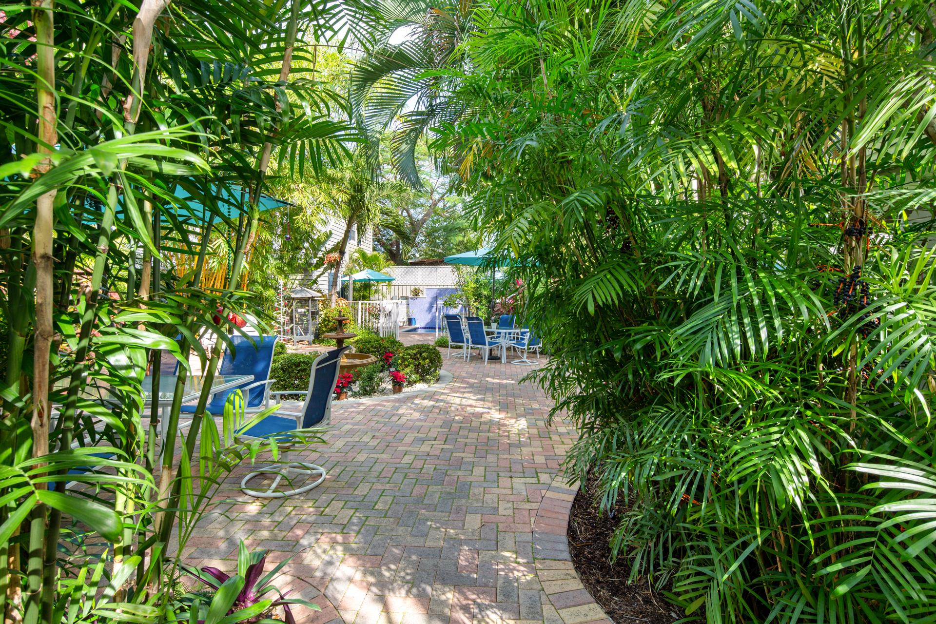 Wind your way through the lush foliage.