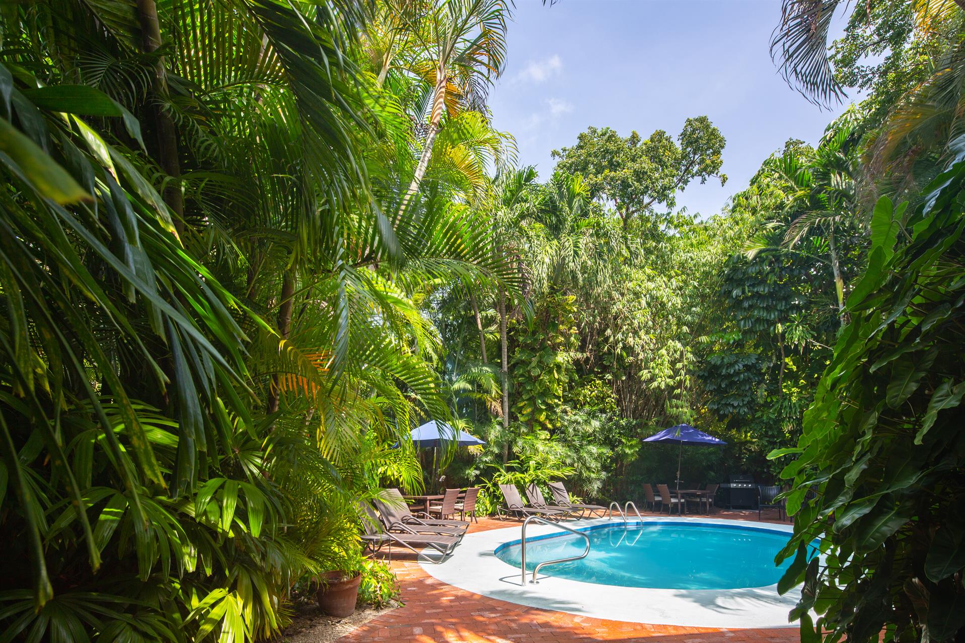 Lush foliage provides great privacy.