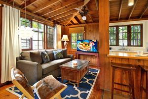 Lush sofa, large TV, goat fur chair  exposed wood.