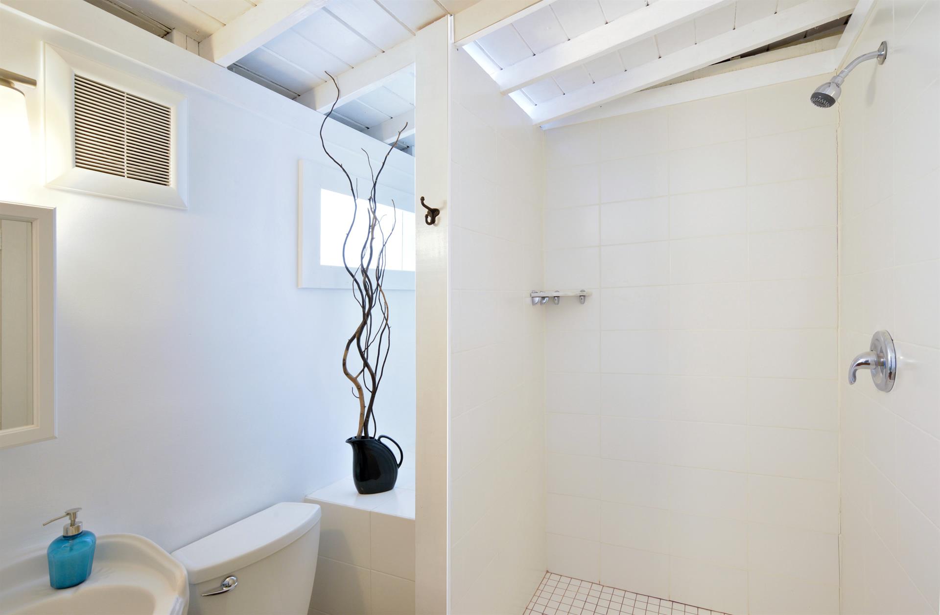 The bath is brightened by natural light.