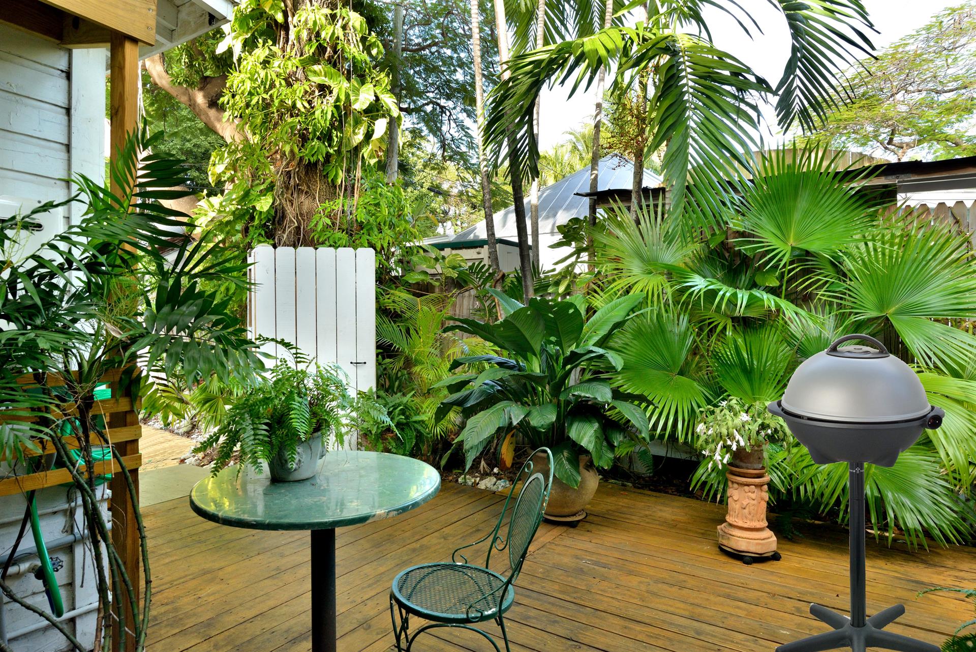 Wonderful tropical plants in the outdoor space. Grill here too