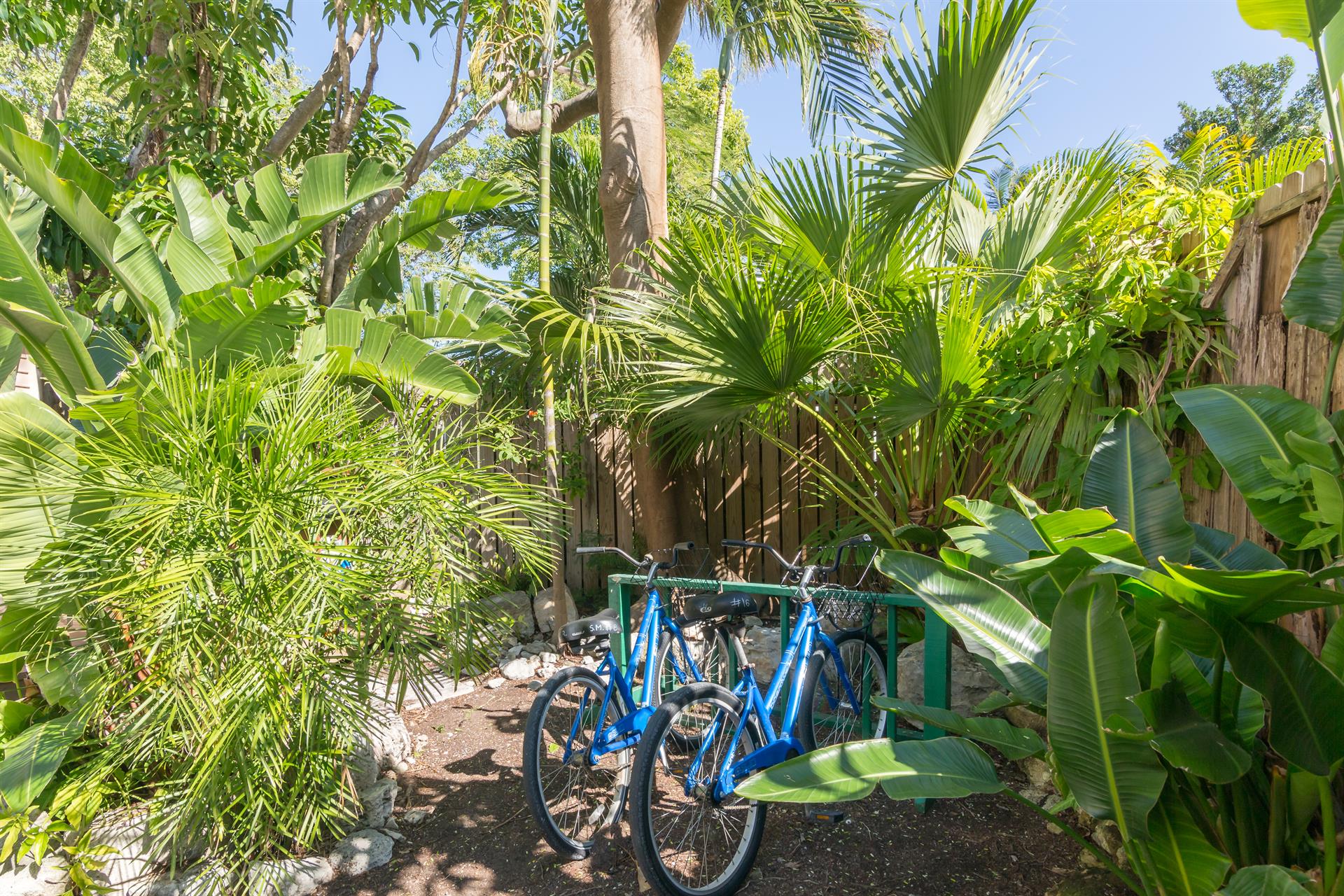 Shared bike rack to secure your bicycles.
