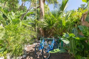 Shared bike rack to secure your bicycles.