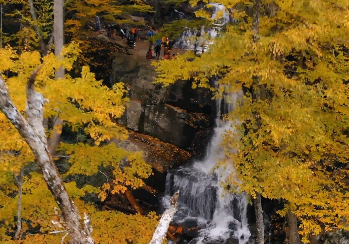 Image courtesy of smokymountains.com