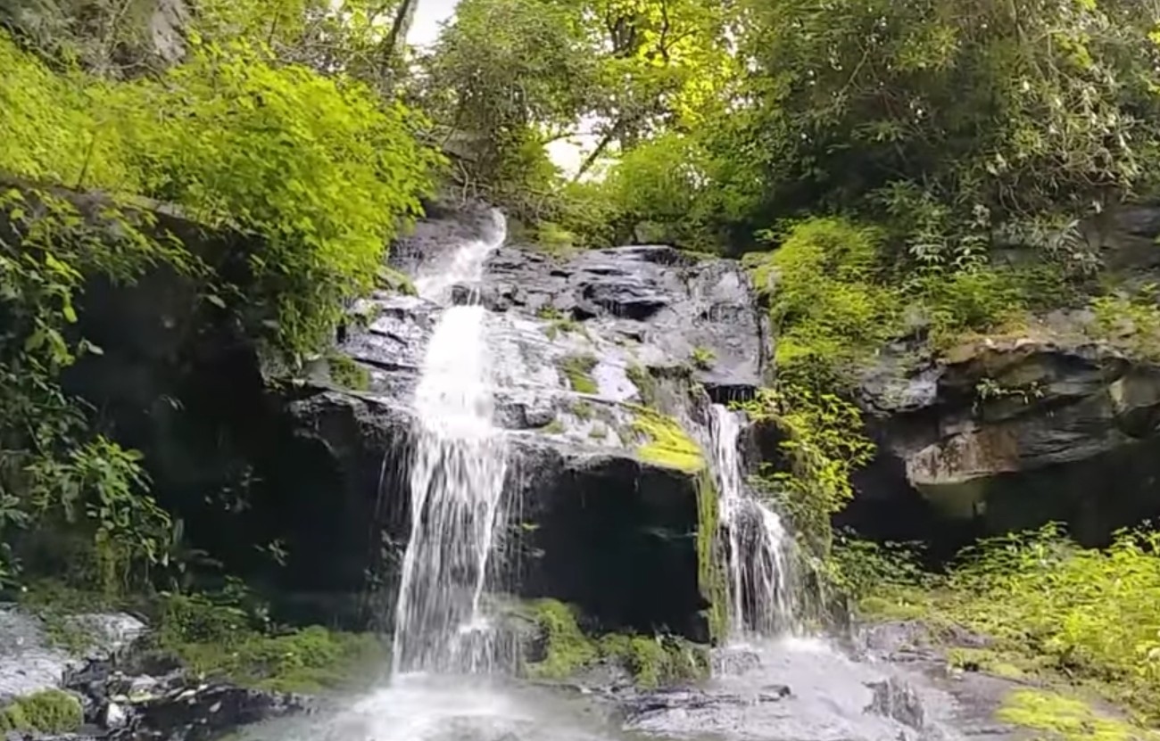 Hen Wallow Falls