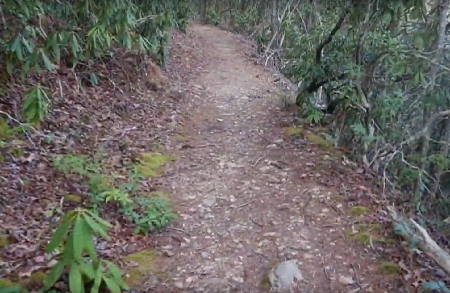 Curry Mountain Trail: Close to Metcalf Bottoms