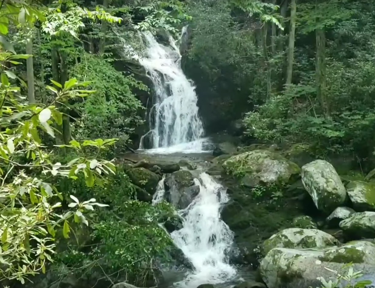 Mouse Creek Falls: Easy Trail, Good Swimming Hole