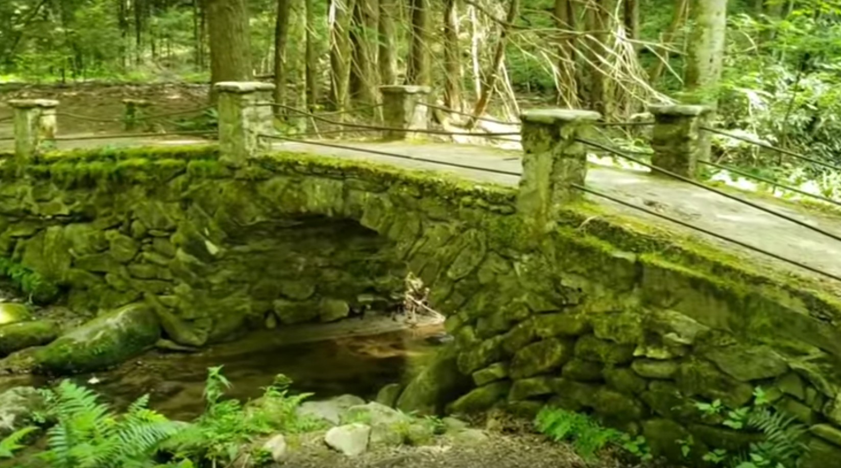 Elkmont Campground Area - the Hub of Many Scenic Attractions