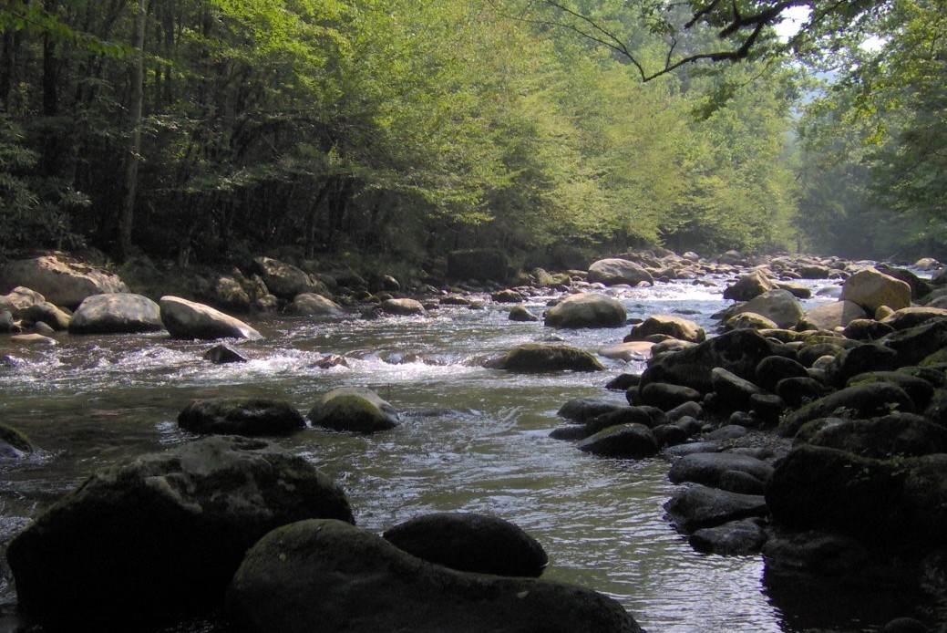 Exploring the Greenbrier Area: Close Yet Deep in Nature