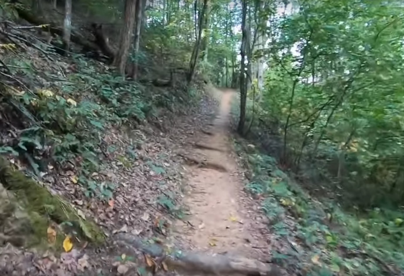 Meigs Creek Trail