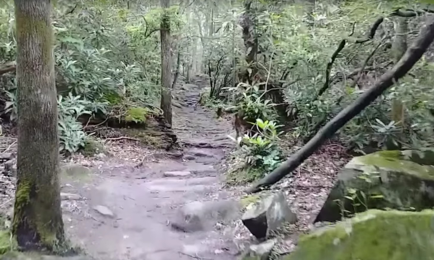 Ramsey Cascades - Spectacular Falls, Tough Trail, Scenic Area