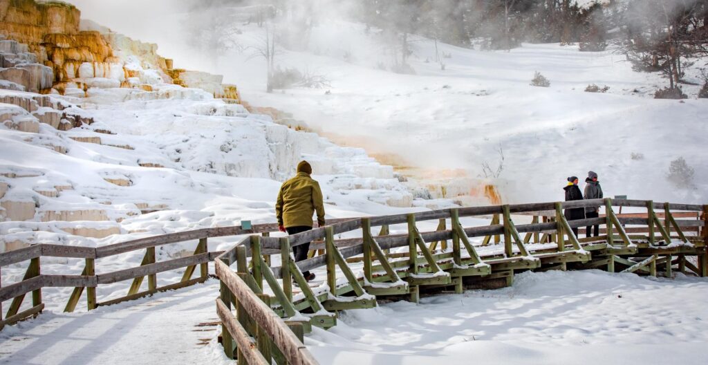mammoth hot springs in yellowstone in the winter