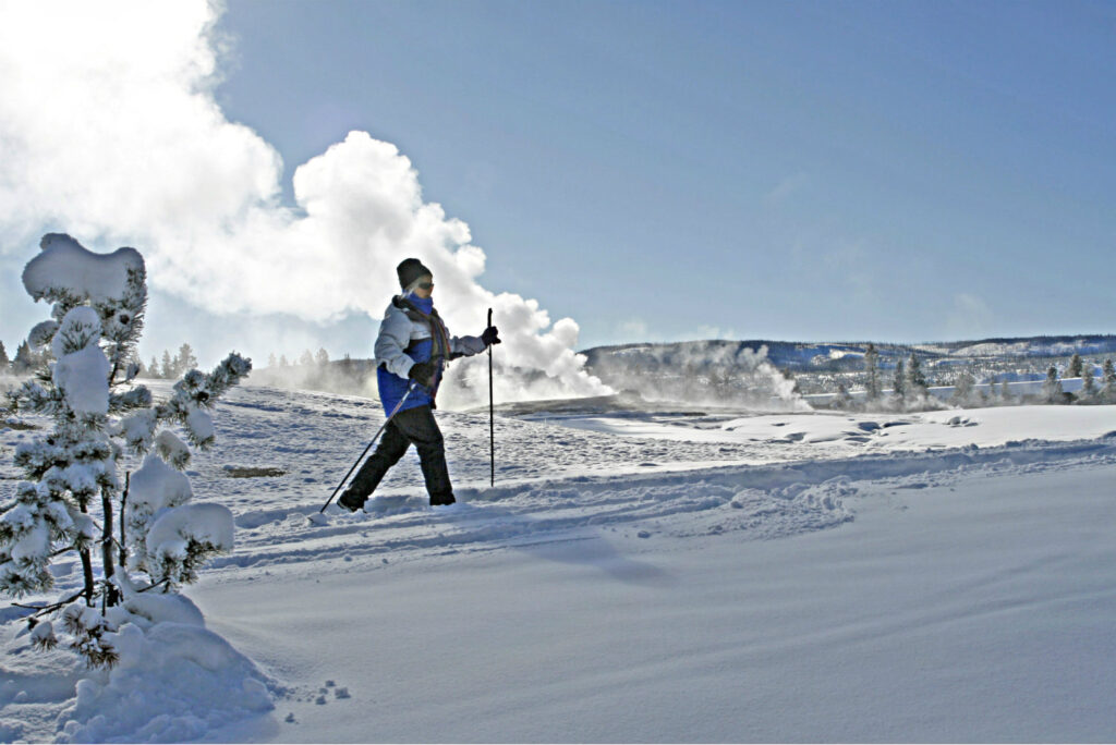 cross country skiing in yellowstone in the winter
