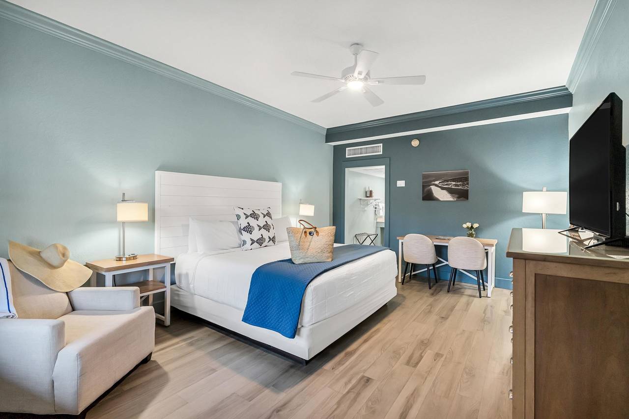 Spacious ADA King Room