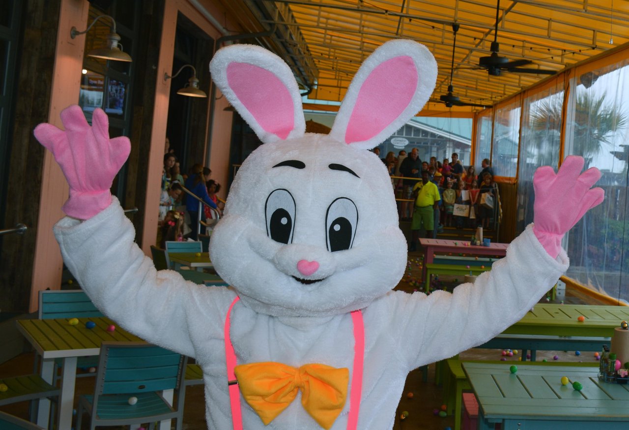 LuLu Easter Bunny 20162