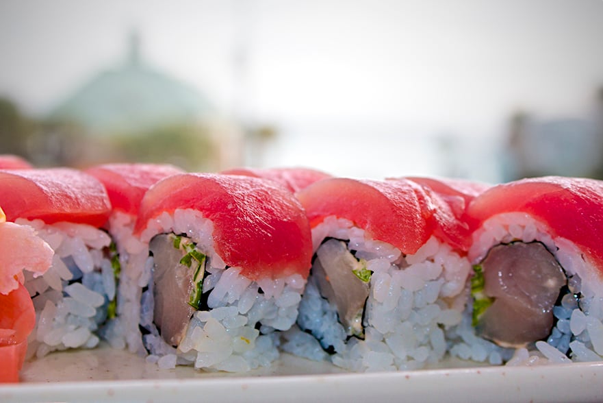 Sushi 3 Cam