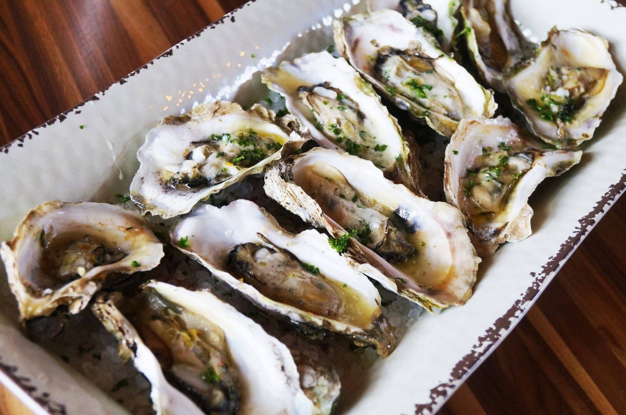 Oyster Brotulas