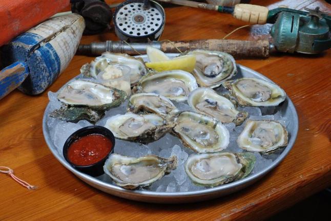 Oyster Ajs