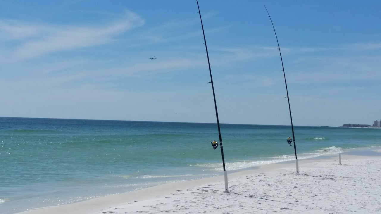2016 fishing
