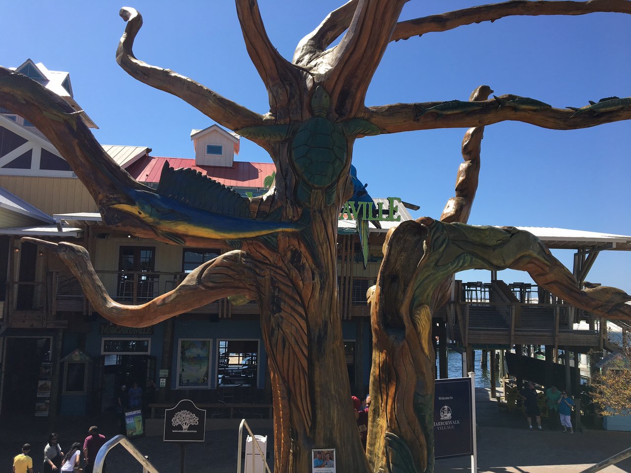 Destin Landmark  Magnolia Tree 2.JPG