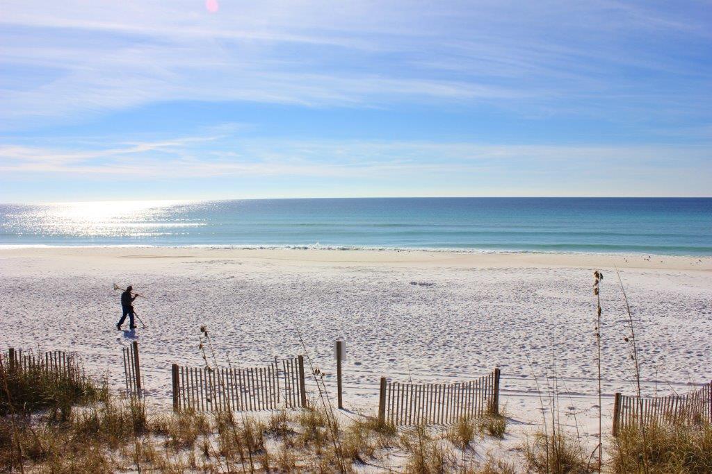 Snowbird on the beach