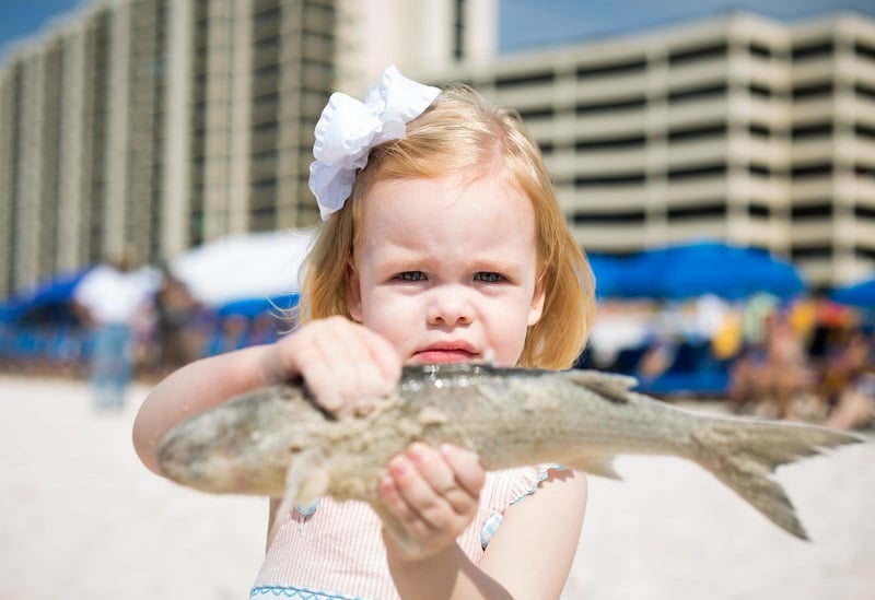 destin seafood fish toss
