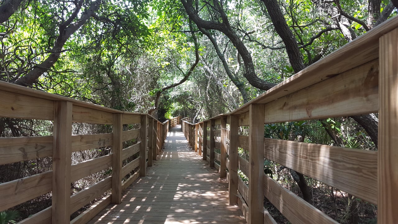 SAR path to the beach 4