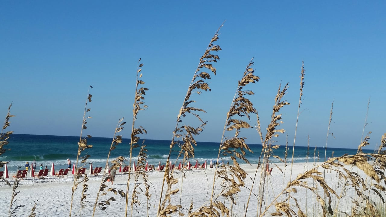 Fall at the beach 2