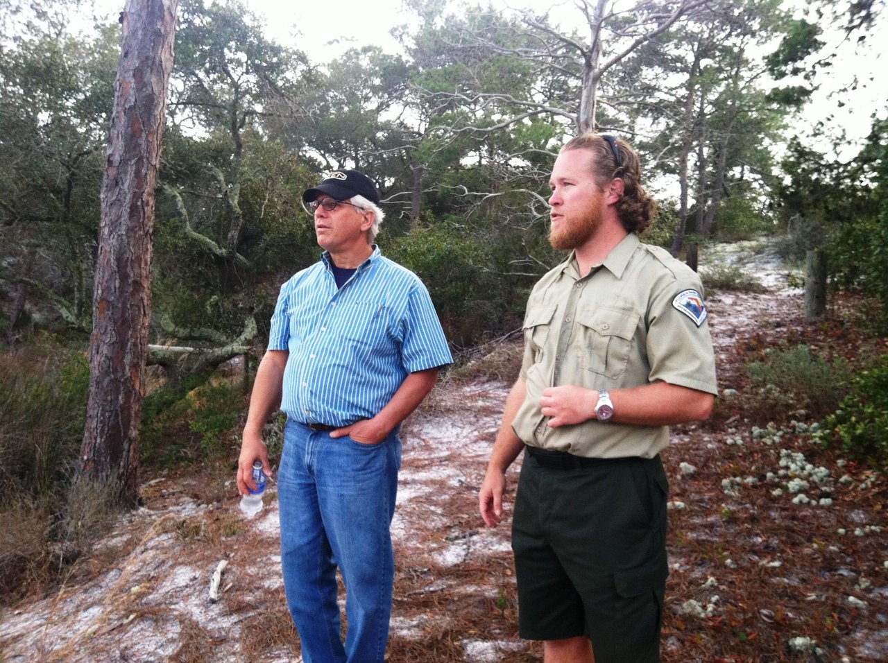 volunteer topsail