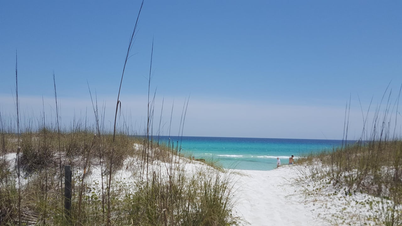 144122 Spring Beach Path